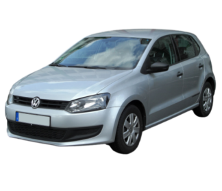 Polo 5 (2009-2017)